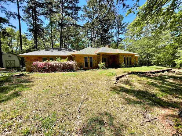 21062 Hickory Ln, Whitehouse, TX 75791