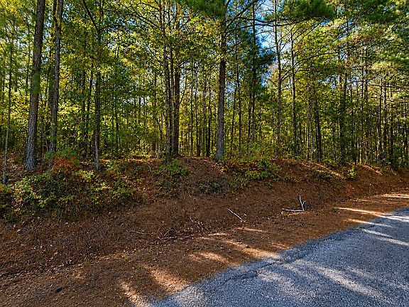 3rd image of 0 County Road 25