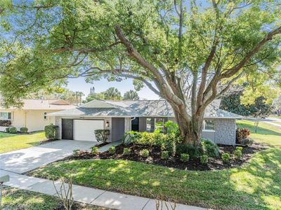 2802 Cameron Ct, Palm Harbor, FL, 34684