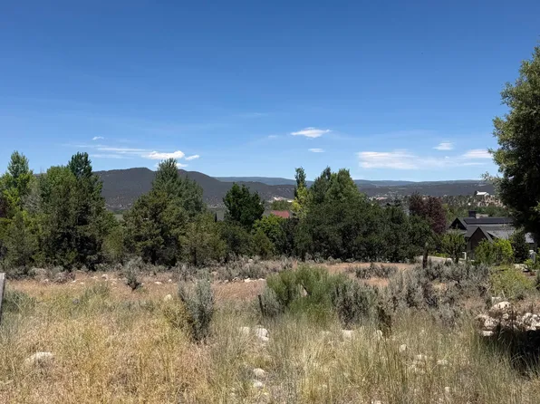 114 Bowles Dr, Carbondale, CO 81623