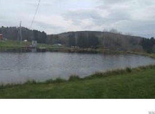 10389 Fritz Rd, West Valley, NY 14171