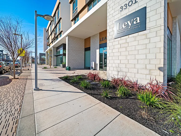 Leya — Photo 6