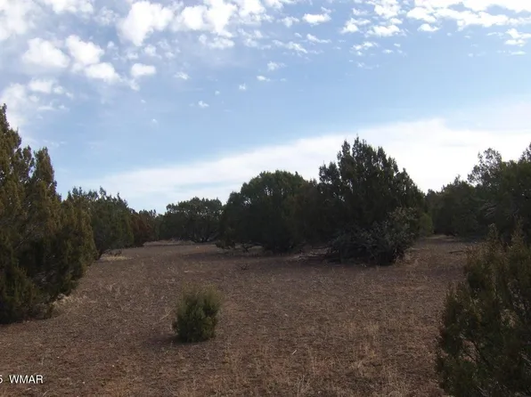 Idlewind Rnch Lot 2-77A, Show Low, AZ 85901