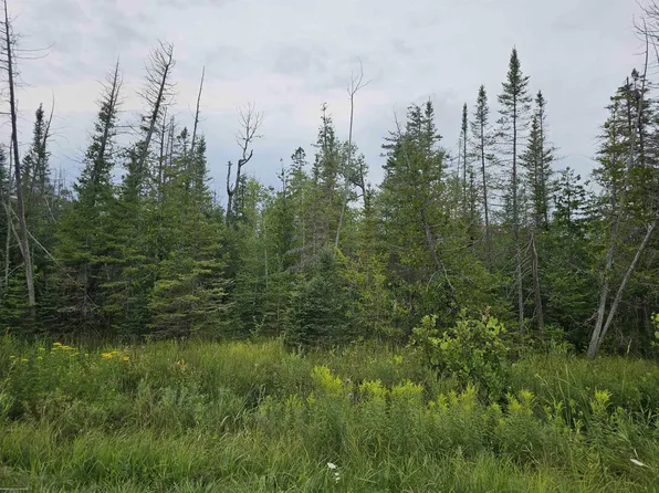 Bloom Rd, Alpena, MI 49707