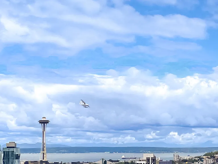 Stunning rooftop view of the skyline at Alt Capitol Hill.