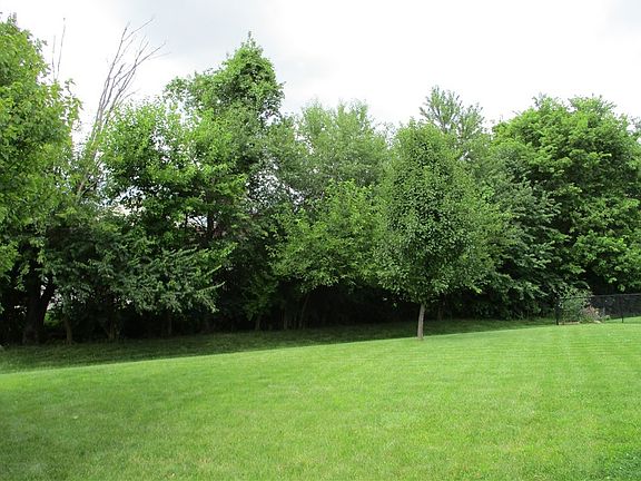 4th image of 6346 Whitaker Farms Dr