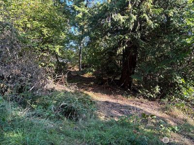 41 E Soundview Drive, Shelton, WA, 98584