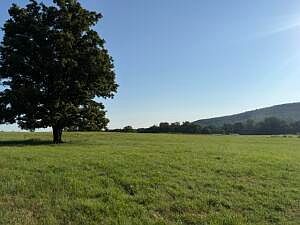 3rd image of County Road 906