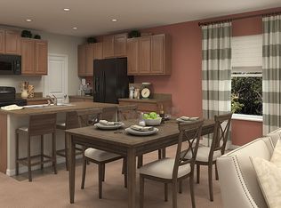 10004 Crested Fringe Dr, Riverview, FL 33578