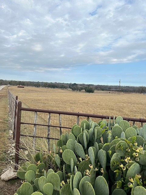 1st image of 655 County Road 221