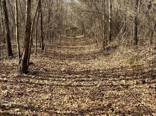 2900 Mobile Rd, Greenville, AL 36037