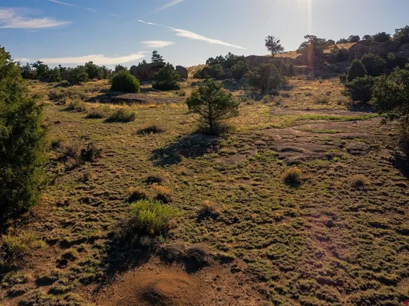 1087 Pronghorn Trail, Del Norte, CO 81132