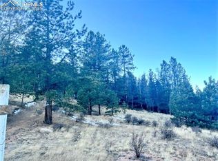 233 Rabbil Creek Dr, Florissant, CO 80816