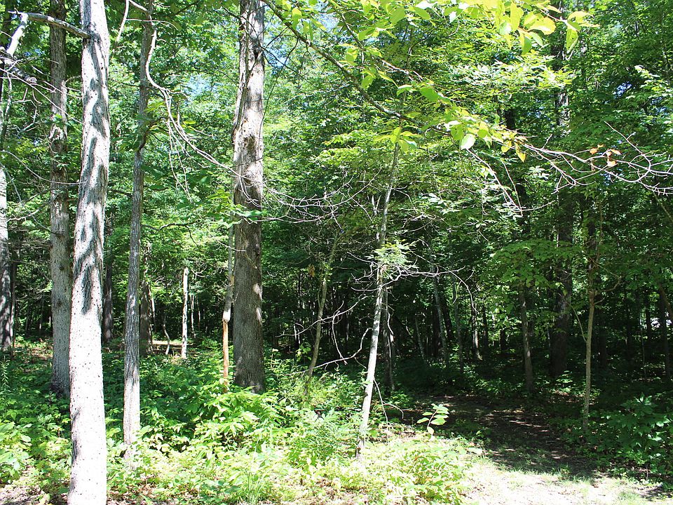 2nd image of Lynn Leigh Ln