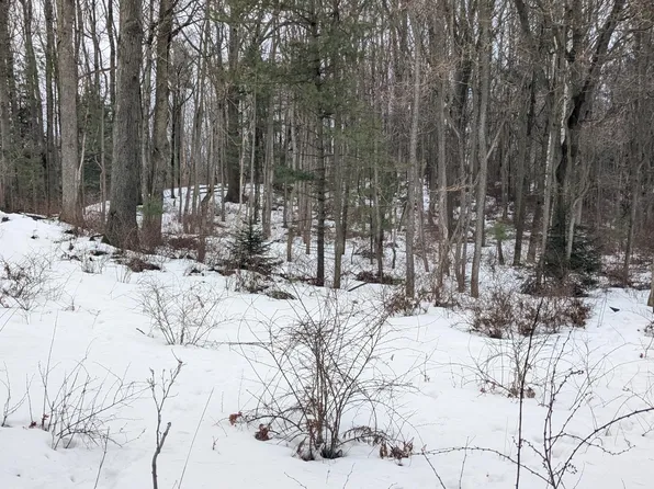 Hill V L 10 Acres Rd, Manistee, MI 49660