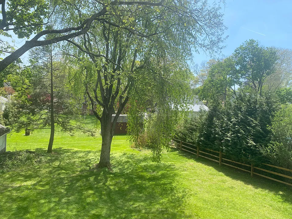 Peaceful Backyard