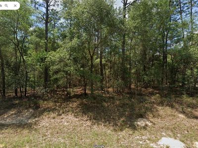 42 W Stockel Ln, Citrus Springs, FL, 34434
