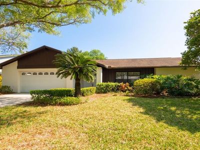 4704 Roseberry Ln, Tampa, FL, 33624