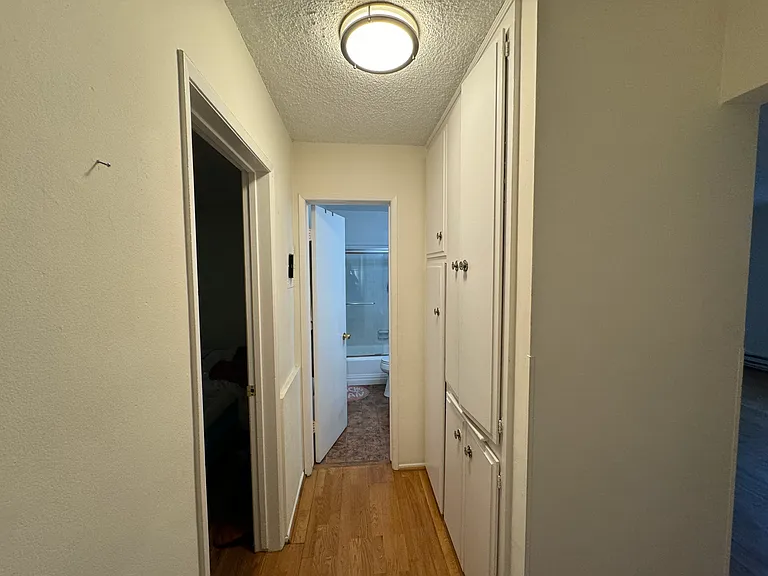 Hallway offers additional storage.