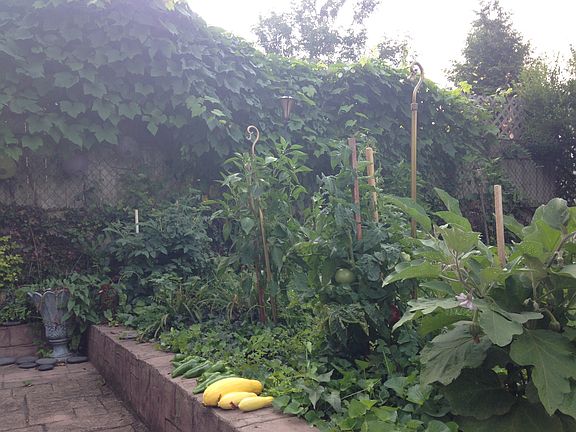 Excellent soil for gardening