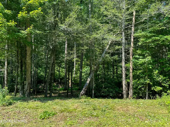 Trillium Cove Ln, Sevierville, TN 37862