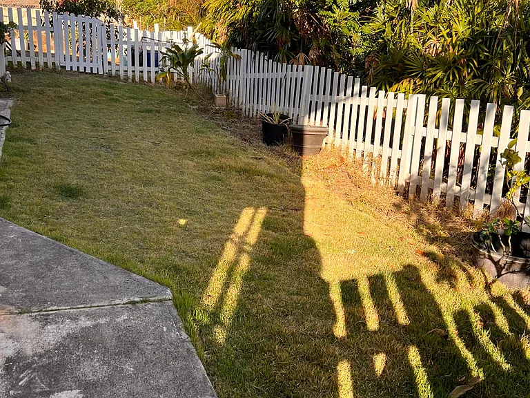Iwi Way — Photo 11
