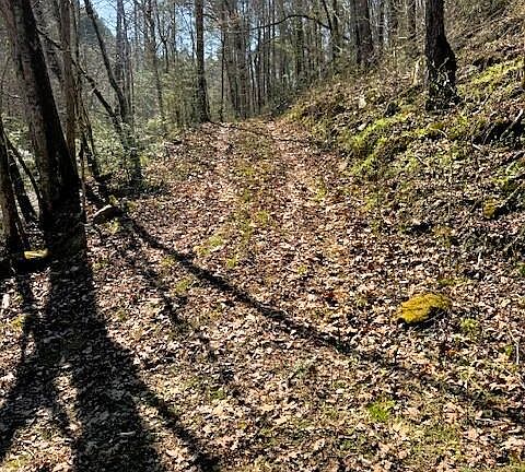 4th image of 768AC Ellis Creek Rd