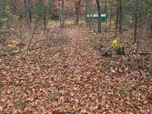 0 Sweeter Rd, Twin Lake, MI 49457