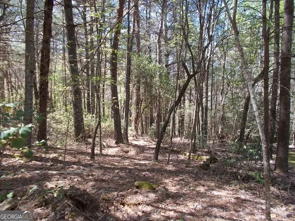118 Red Maple Ln, Blairsville, GA 30512