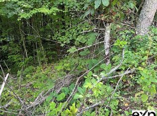 0 Conley Dr, Maggie Valley, NC 28751