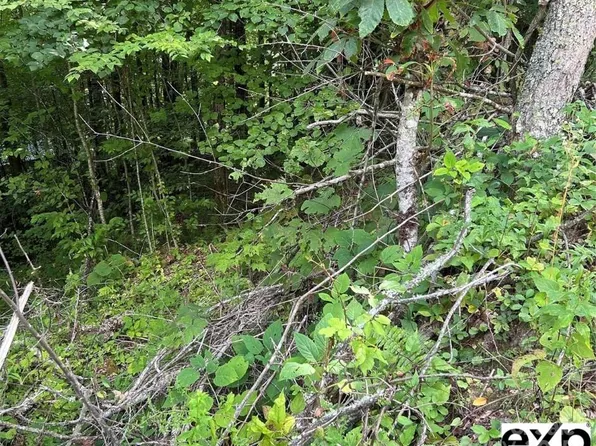 0 Conley Dr, Maggie Valley, NC 28751