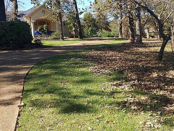 4th image of 785 County Road 1401