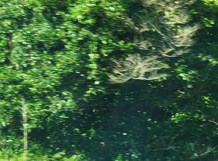 LOT 6A Highway 9 E, Clio, SC 29525