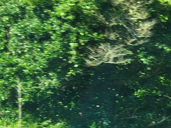 LOT 6A Highway 9 E, Clio, SC 29525