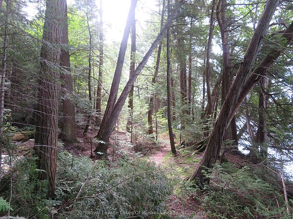 5th image of 1071 N Dotty Lake Rd