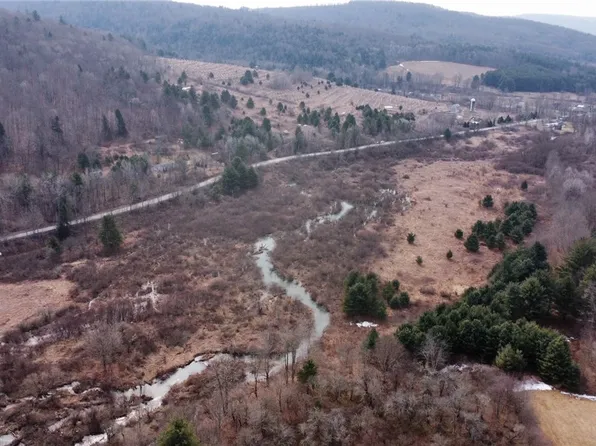 Prospect Valley Rd, Willseyville, NY 13864