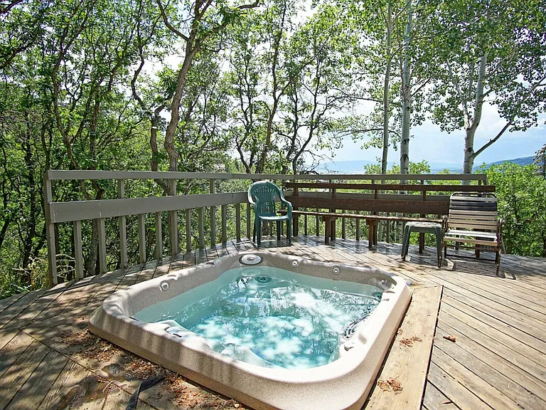 2460 Ski Trail Ln #ID1564281P — Photo 22