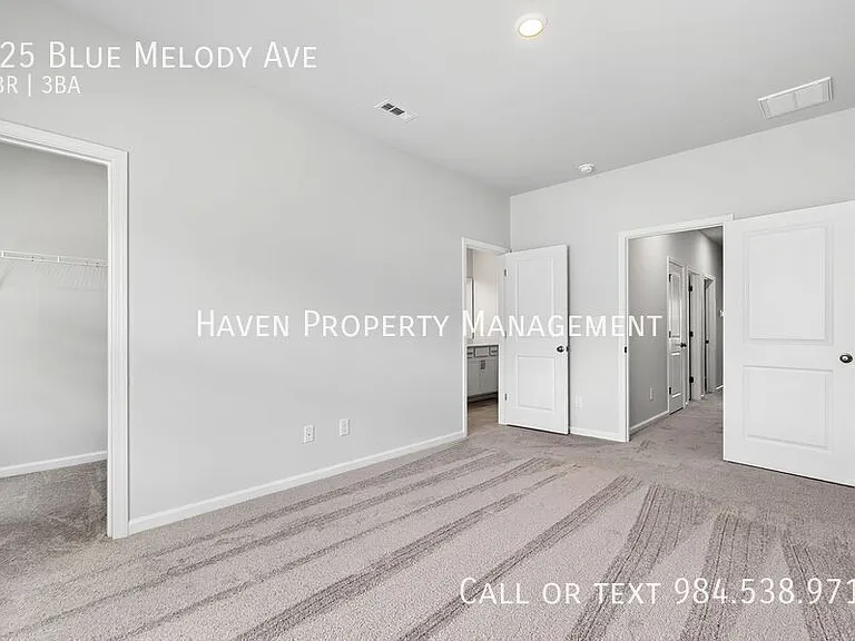 125 Blue Melody Ave — Photo 23