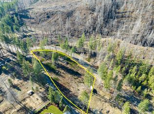 Marbrook Ln, Blue River, OR 97413