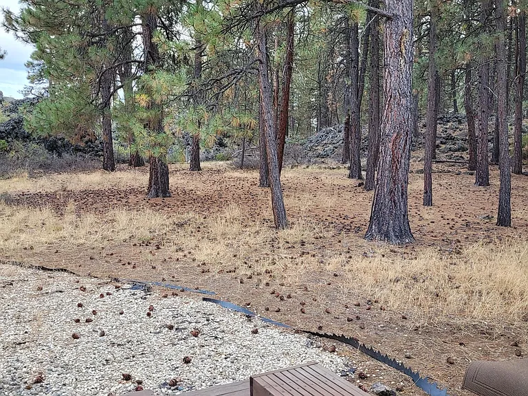60227 Ochoco Cir — Photo 28