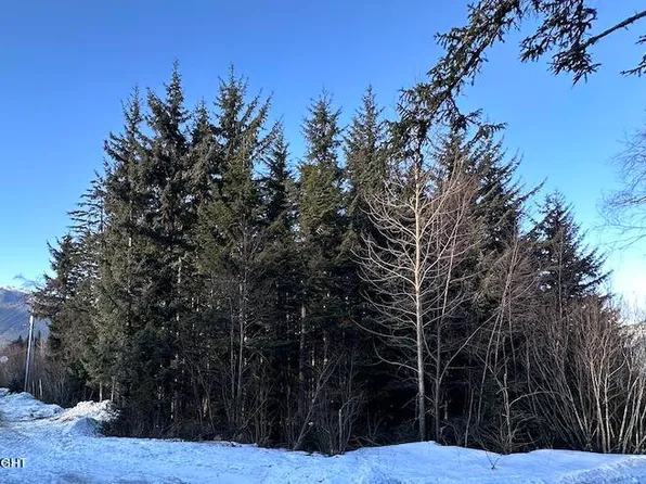 Nhn Matrix Dr, Haines, AK 99827