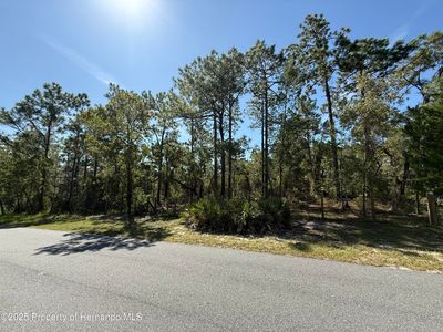 0 Michigan Ave, Weeki Wachee, FL, 34613