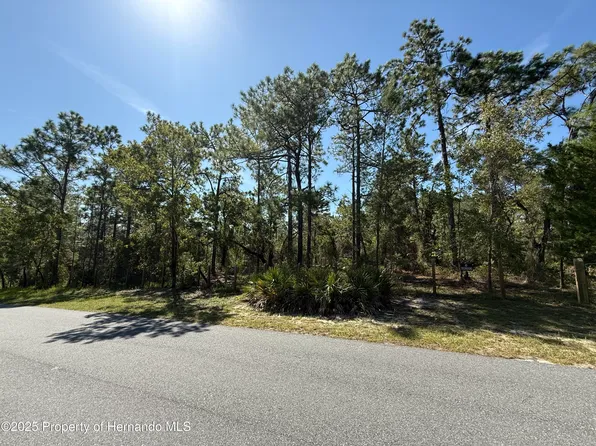 0 Michigan Ave, Weeki Wachee, FL 34613