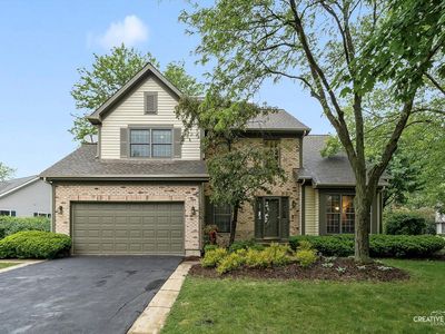 1070 Hobble Bush Ln, Elgin, IL, 60120