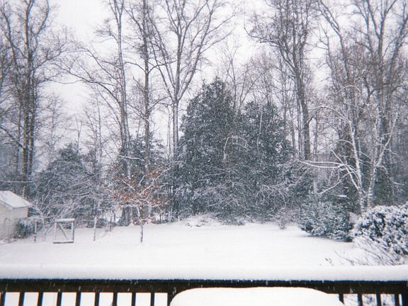 A Snowy View of the backyard
						:
						A snowy view of the backyard & shed from the deck
