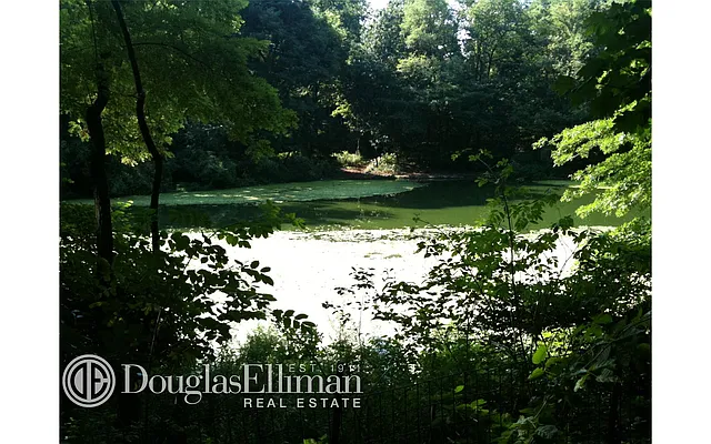 Sold by Douglas Elliman | media 8