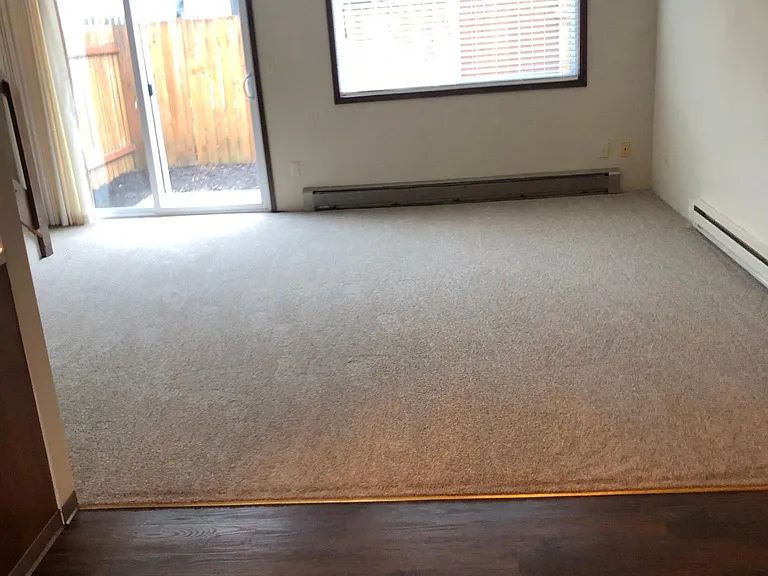 323 S Locust St #12 — Photo 10