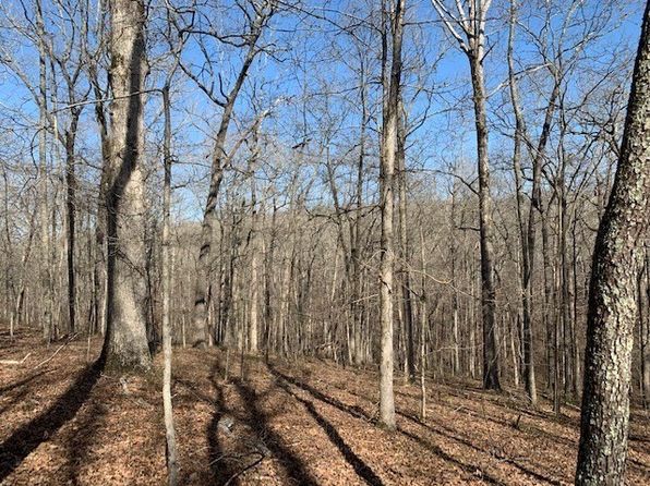 146 Quail Ridge Rd, Summertown, TN 38483