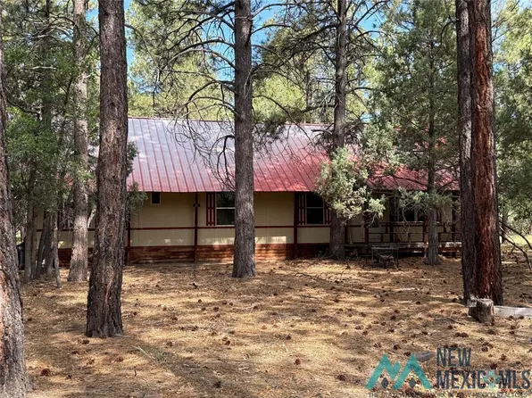 31 Mundy Lane Dr, Chama, NM 87520