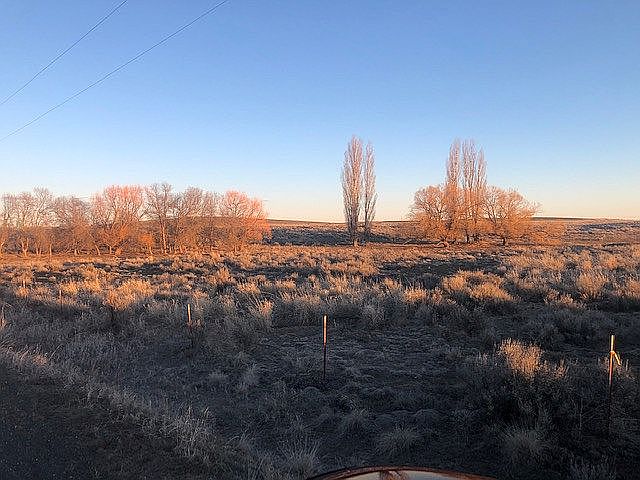 View of trees on Property
